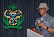 CBN Data Reveals Turning Point in Nigeria’s External Sector Driven by Local Refining…