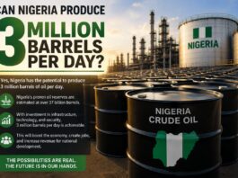 Post-Interview Commentary: Can Nigeria Produce 3 Million Barrels Per Day by 2030?